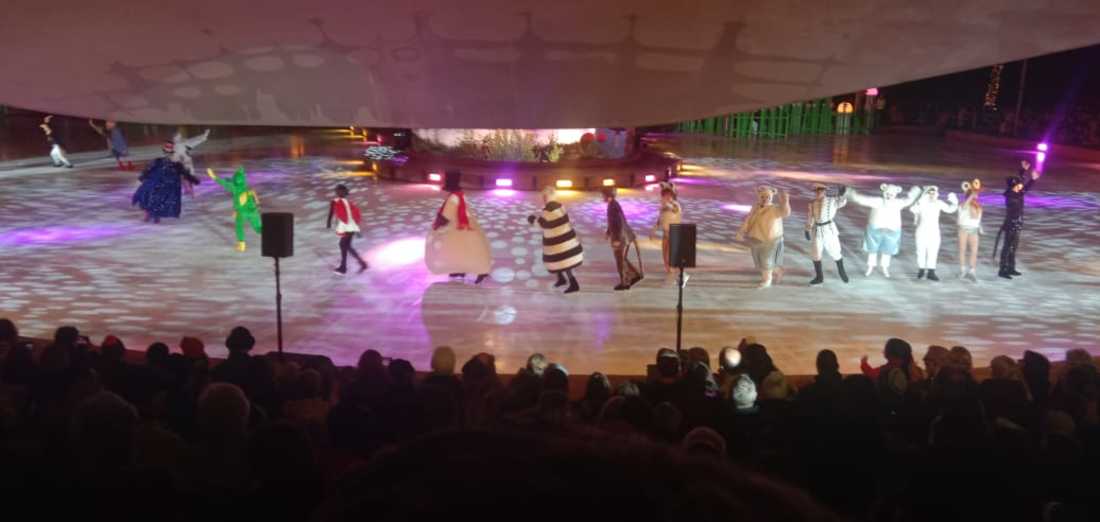 Ice show